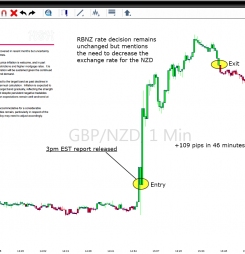 Live Trading Sessions